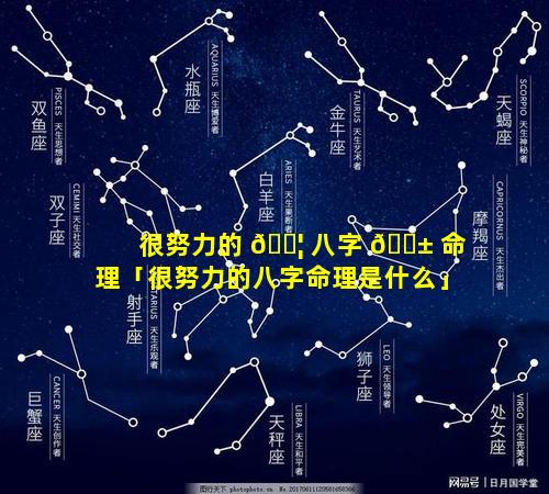 很努力的 🐦 八字 🐱 命理「很努力的八字命理是什么」